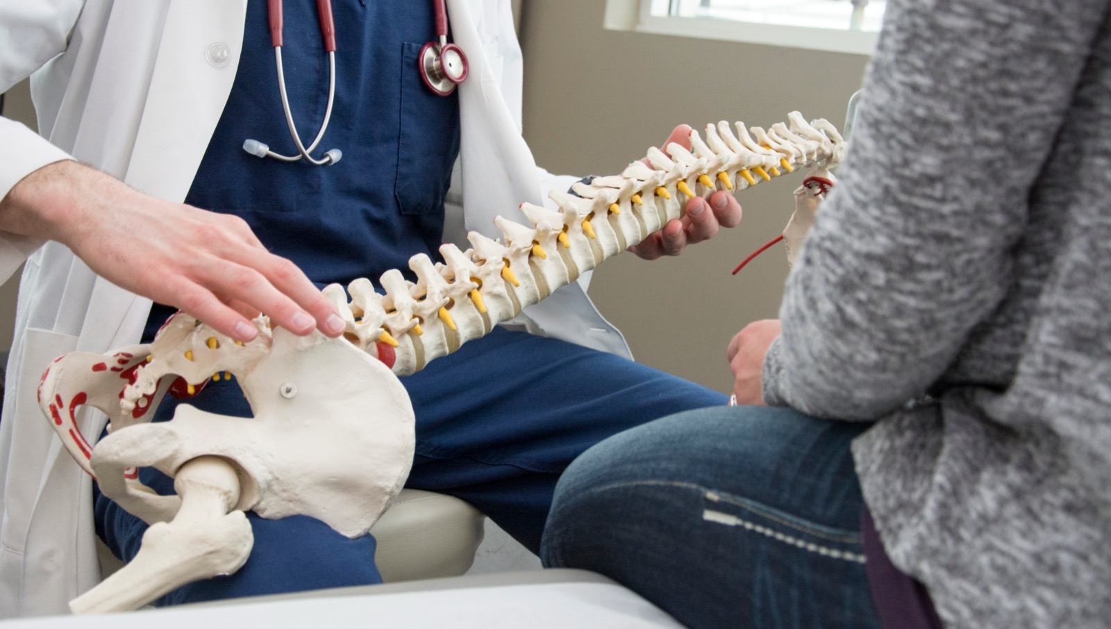 Doctor showing spine model to patient during consultation